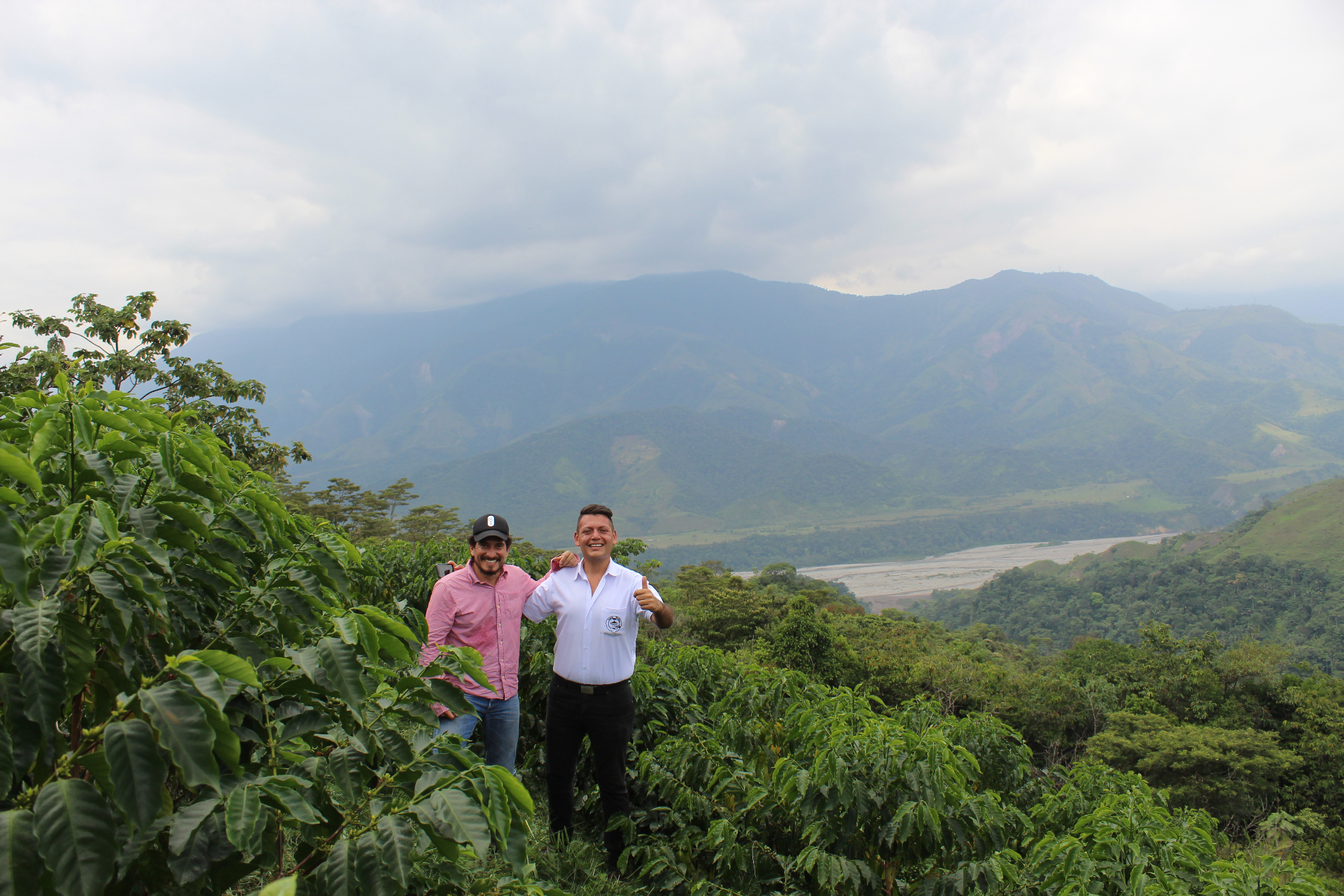 Caficultores en la finca